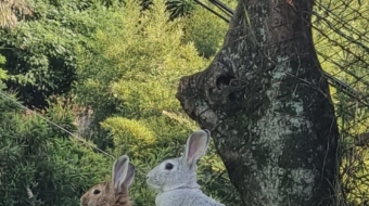 WhatsApp Image 2024-03-01 at 10.20.45 AM (1)