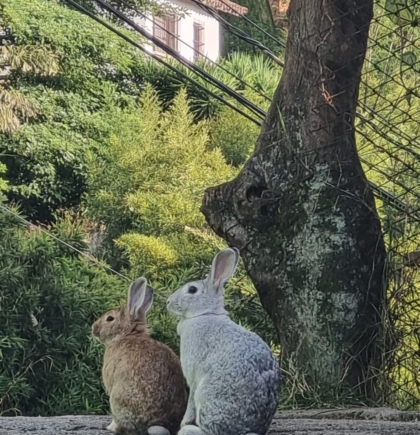 WhatsApp Image 2024-03-01 at 10.20.45 AM (1)