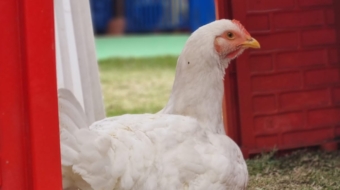 WhatsApp Image 2024-03-01 at 10.20.46 AM (1)