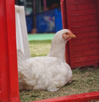 WhatsApp Image 2024-03-01 at 10.20.46 AM (1)